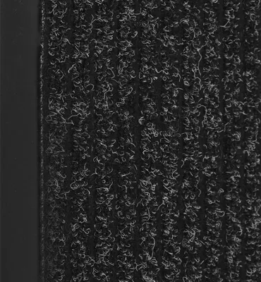 Image de vidaXL Paillasson anthracite rayé 40x60 cm