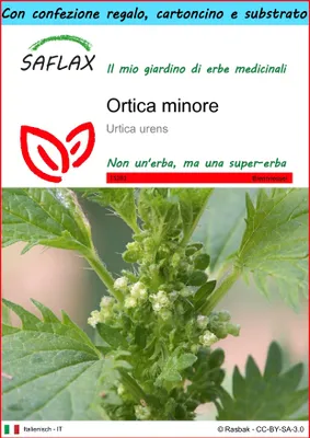Immagine prodotto di SAFLAX Set regalo - Ortica minore - 150 semi - Urtica
