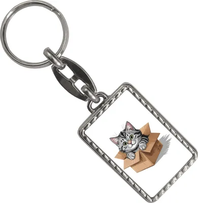 Produktbild von Katze im Karton Schlüsselanhänger mit Bordüre für Katzenfans