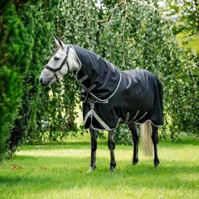 Image de Horseware Amigo Bravo 12 Plus 100g - Taille 125 - Noir