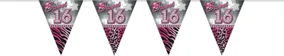 Produktbild von Blingbling Sweet 16 Wimpelkette 10m