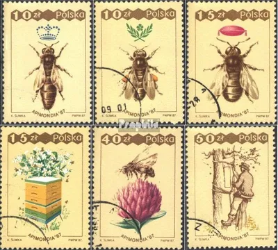 Produktbild von Briefmarken Polen 1987 Mi 3106-3111 (kompl.Ausg.) gestempelt Weltkongreß für Bienenzucht