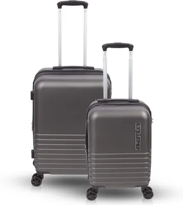 Produktbild von Niceey, Koffer Set, 2 Stück, Handgepäck und Große Koffer, 36L und 60L, Grau