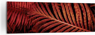 Produktbild von Bild auf Leinwand - Leinwandbild - Einteilig - Rot Blätter Palmen - 160x50cm - Wand Bild - Wanddeko - Wandbilder - Leinwanddruck - Bilder - Wanddekoration - Leinwand bilder - Wandbild - AB160x50-4816