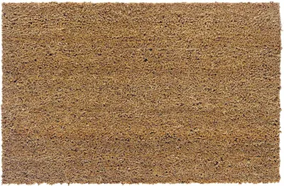 Obrázek produktu pro Rohožka Astra KOKOSVELOURS Nature 40 x 60 cm