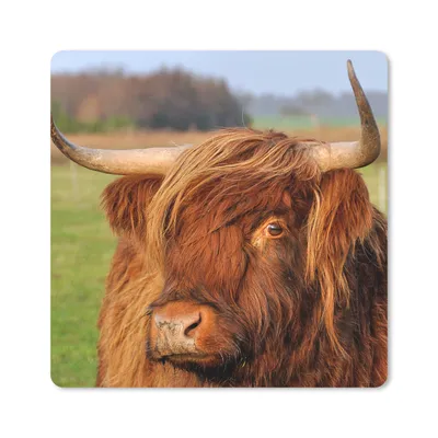 Produktbild von MuchoWow® Mauspad Mousepad Schottischer Highlander - Gras - Baum 20x20 cm - Mousepads - Maus Mat - Pad - Mausunterlage - Desk Mat - Bureauartikeln