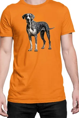 Immagine prodotto di Maglietta da uomo Dogs Breeds Havanese Dog Breed 005, Man L , Orange