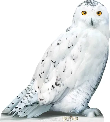 Produktbild von Harry Potter - Eule Hedwig - Mini Pappaufsteller - 67x74 cm