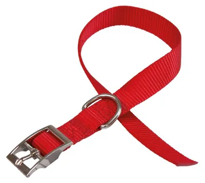 Produktbild von HundeHalsband Daytona 53 x 2,5 cm Stahl/Nylonblau