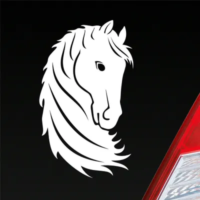 Produktbild von Auto Aufkleber Pferd Horse Pony Pferdeliebhaber Reiten 15x9 cm Weiss Glanz Sticker Heckscheibenaufkleber