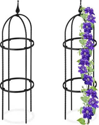 Produktbild von Famanu Pflanzenstütze für Kletterpflanzen 85 cm hoch - Set von 2 - Metall Kunststoff - Schwarz
