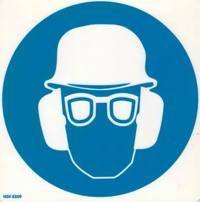 Produktbild von Hinweisschild - Schutzbrille - Gr. ca. 20 X 20 cm - 308309