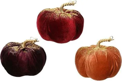 Productafbeelding van Warentuin-producten