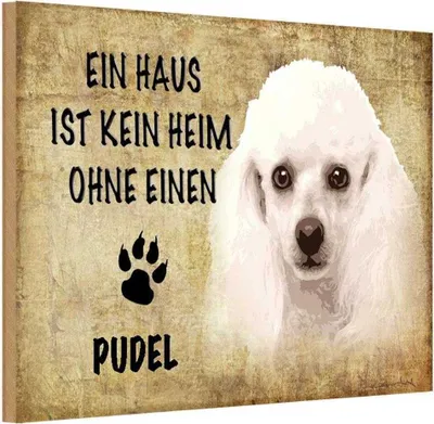 Produktbild von vianmo Holzschild 12x18 cm Pudel Hund Tier Haustier