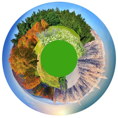Produktbild von Sport-Thieme Effektrad, Waldpanorama
