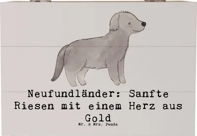 Produktbild von Mr. & Mrs. Panda Kiste Neufundländer Liebe 22 x 15 cm - Grau Pastell - Geschenk, schatztruhe, Schatzkiste, Hunderassen Charakter, fotokiste, Eigenschaften, Beschreibung