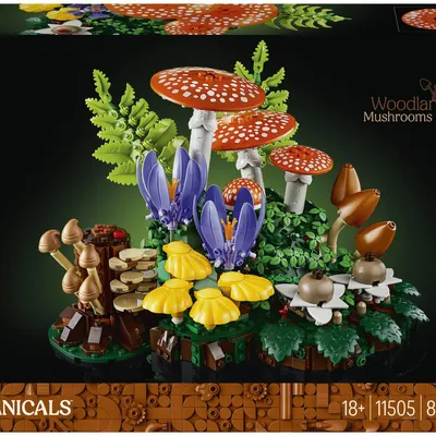Immagine prodotto di LEGO Botanicals 11505 Funghi Del Bosco, Set Di Piante Artificiali Per Adulti, Decorazione Per Casa, Idea Regalo Fai Da Te