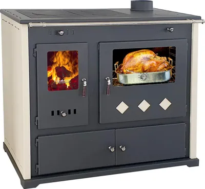 A kitchen stove with a turkey roasting in the oven and a fire burning in a separate compartment.