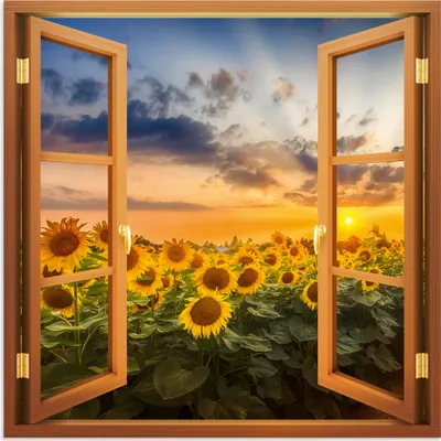 Produktbild von ARTland Wandbild Alu für Innen & Outdoor Sonnenblumen im Sonnenuntergang Größe: 100x100 cm