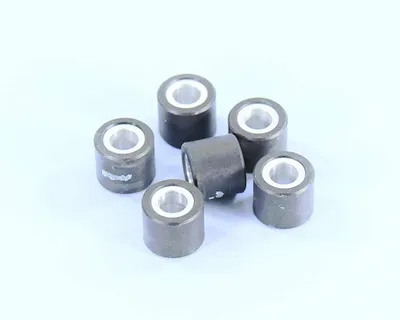 Image de POLINI Roulettes Variator 25X21.8 14.2 g