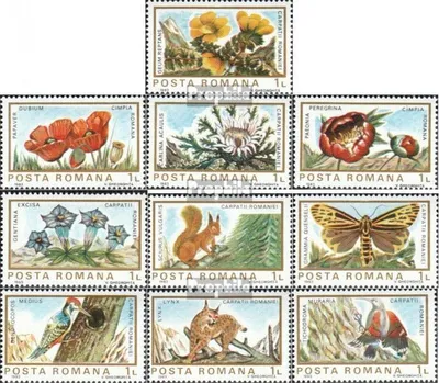 Produktbild von Briefmarken Rumänien 1983 Mi 3982-3991 (kompl.Ausg.) postfrisch Flora und Fauna