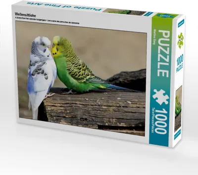 Produktbild von Calvendo Wellensittiche 1000 Teile Puzzle quer 640x480mm, Berg Martina; 7380947