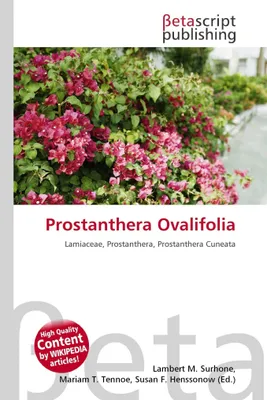 Produktbild von Prostanthera Ovalifolia