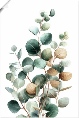 Produktbild von ARTland Poster Eukalyptus Größe: 80x120 cm