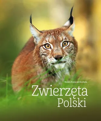 Imagen del producto de Animales de Polonia. Edición 2026