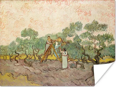 Produktbild von MuchoWow® Poster Die Olivenpflücker - Vincent van Gogh 160x120 cm - Foto Plakat