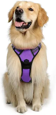 Produktbild von Famanu Hundegeschirr, anti-Zieh-Design, reflektierend und atmungsaktiv - Verstellbar und weich für große, mittelgroße und kleine Hunde