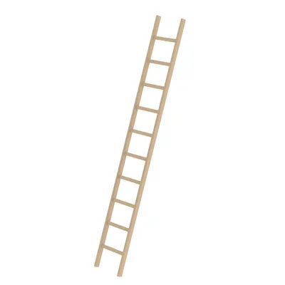 Produktbild von MUNK Holz-Anlegeleiter 10 Sprossen