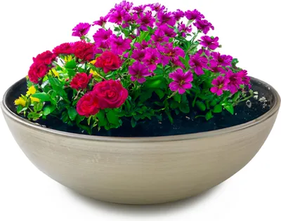 Image de Jardinière pour l'extérieur Jardinière décorative ronde champagne beige 30 cm