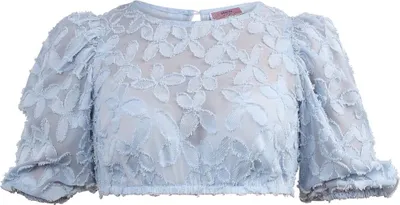 Produktbild von Dirndlbluse Karlstein hellblau 36