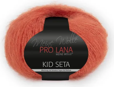Produktbild von Pro Lana Kid Seta Uni 25g (28)