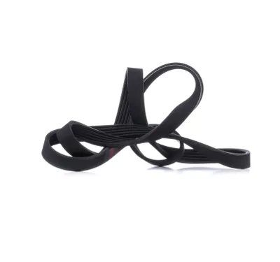 Produktbild von MASTER-SPORT Keilrippenriemen 1432mm für VW Golf IV Schrägheck (1J1) 5PK1432-PCS-MS
