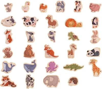 Produktbild von Hape Magnetische Tiere Mehrfarbig  Mehrfarbig One Size