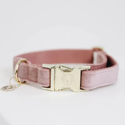 Obrázok produktu pre Kentucky Dogwear obojok pre psov Velvet Collar Old Rose XXS