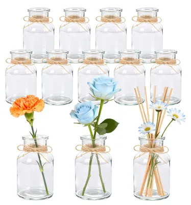 Productafbeelding van Set van 12 Breukbestendige Glazen Vazen voor Bloemen