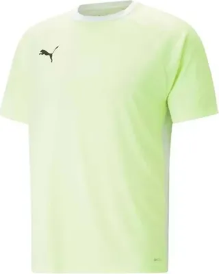 Produktbild von T-Shirt Puma 931832-01 für Herren