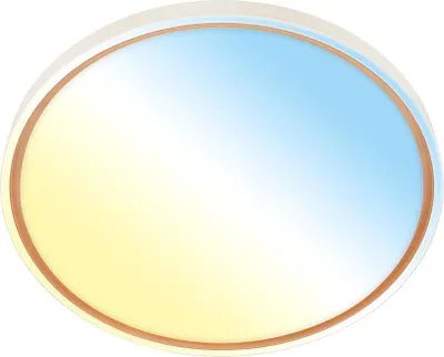 Produktbild von LED Deckenlampe Deckenleuchte Wohnzimmer Dimmbar Fernbedienung CCT Flur