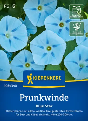 Produktbild von Kiepenkerl Prunkwindensamen Blue Star Ipomoea purpurea 20 Pflanzen