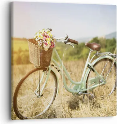 Produktbild von Bild auf Leinwand - Leinwandbild - Einteilig - Fahrrad Wiese Blumen - 40x40cm - Wand Bild - Wanddeko - Wandbilder - Leinwanddruck - Bilder - Wanddekoration - Leinwand bilder - Wandbild - AC40x40-4206