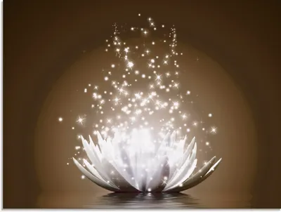 Produktbild von Vadim Georgiev: Magie der Lotus-Blume braun - Glasbild, Größe:45x60 cm / Glasbild