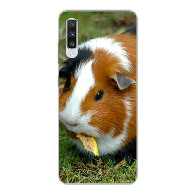 Produktbild von MuchoWow® Handyhülle Schutzhülle Hülle für Samsung Galaxy A70 Meerschweinchen draußen Silikon Softcase Handy Hülle - Schutzhaube