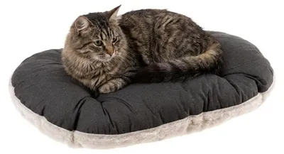 Immagine prodotto di Letto Relax Ferplast 55 4 Peluche Marrone Beige
