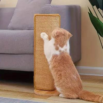 Immagine prodotto di Tiragraffi per gatti - Cartone - Sostenibile - Design