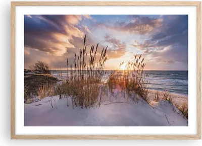 Produktbild von Gerahmtes Poster - Rahmen in heller Eiche - Westen auf der Strand - 70x50 cm - Wand Bild - Wanddeko - Wandbilder - Kunstposter - Wandposter - Bilderrahmen - Bilder - Kunstdruck - P2NAA70x50-4710