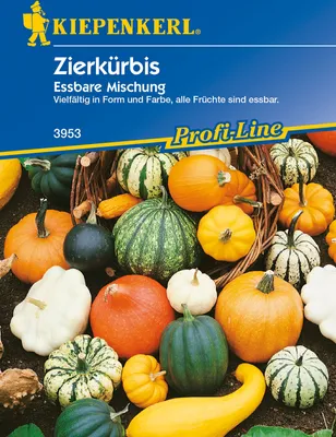 Produktbild von Kiepenkerl Zierkürbis Essbare Mischung Cucurbita pepo, Inhalt: ca. 10 Pflanzen
