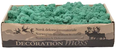 Produktbild von Karton Islandmoos Pazifisches Grün 500g
